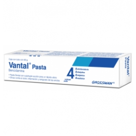 Vantal Pasta 60g - Envío Gratuito