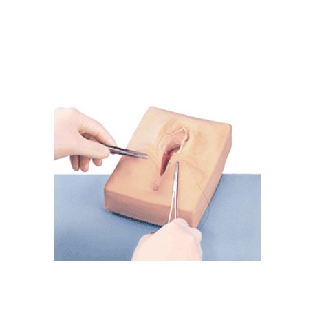 Simulador de sutura medio lateral - Envío Gratuito